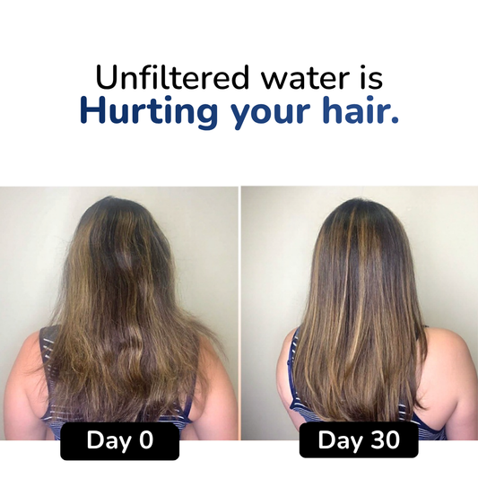 Filtered Shower head