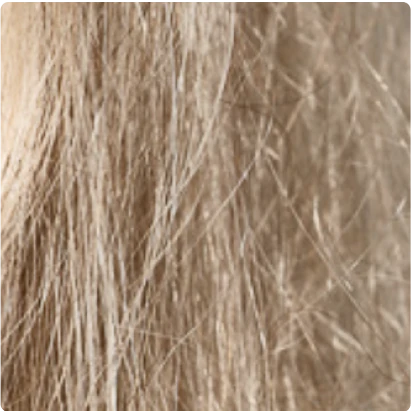 Damaged, brittle hair