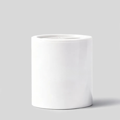 Replacement Filter Subscription